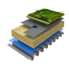 Green Roof System